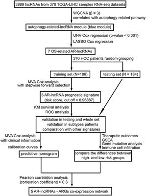 Identification of a Five-Autophagy-Related-lncRNA Signature as a Novel Prognostic Biomarker for Hepatocellular Carcinoma